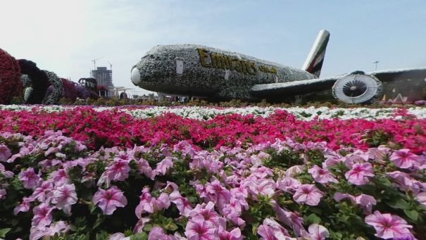 miracle garden - Al Barsha