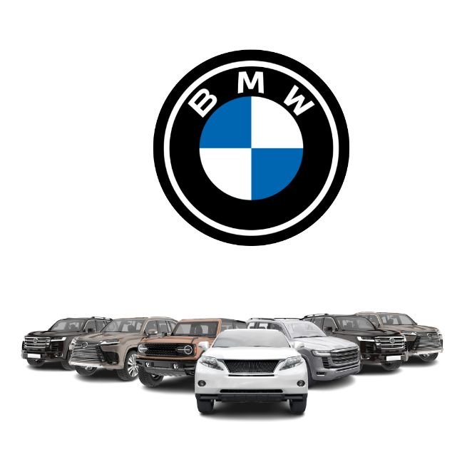 BMW Battery